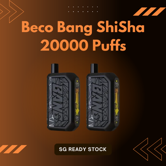 Beco Bang ShiSha 20000 Puffs