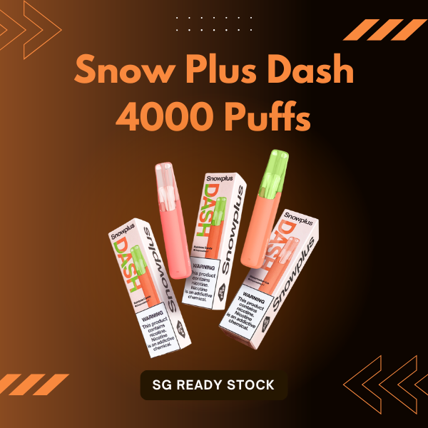Snow Plus Dash 4000 Puffs