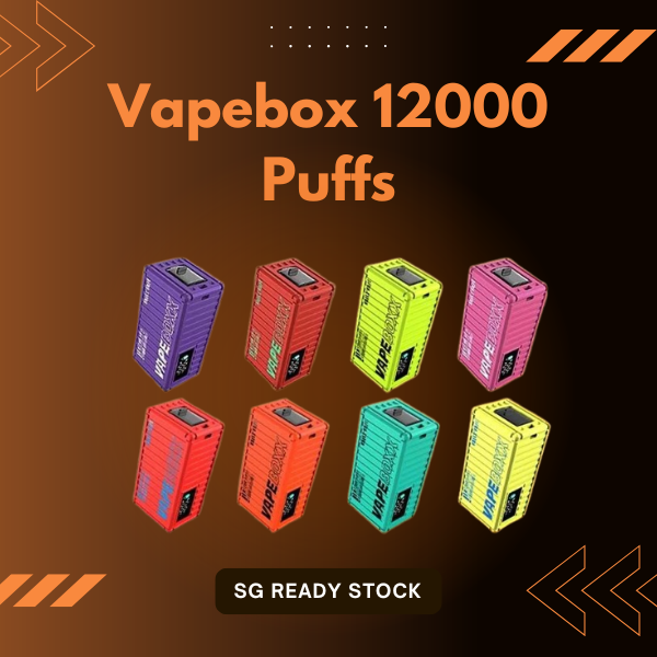 Vapebox 12000 Puffs